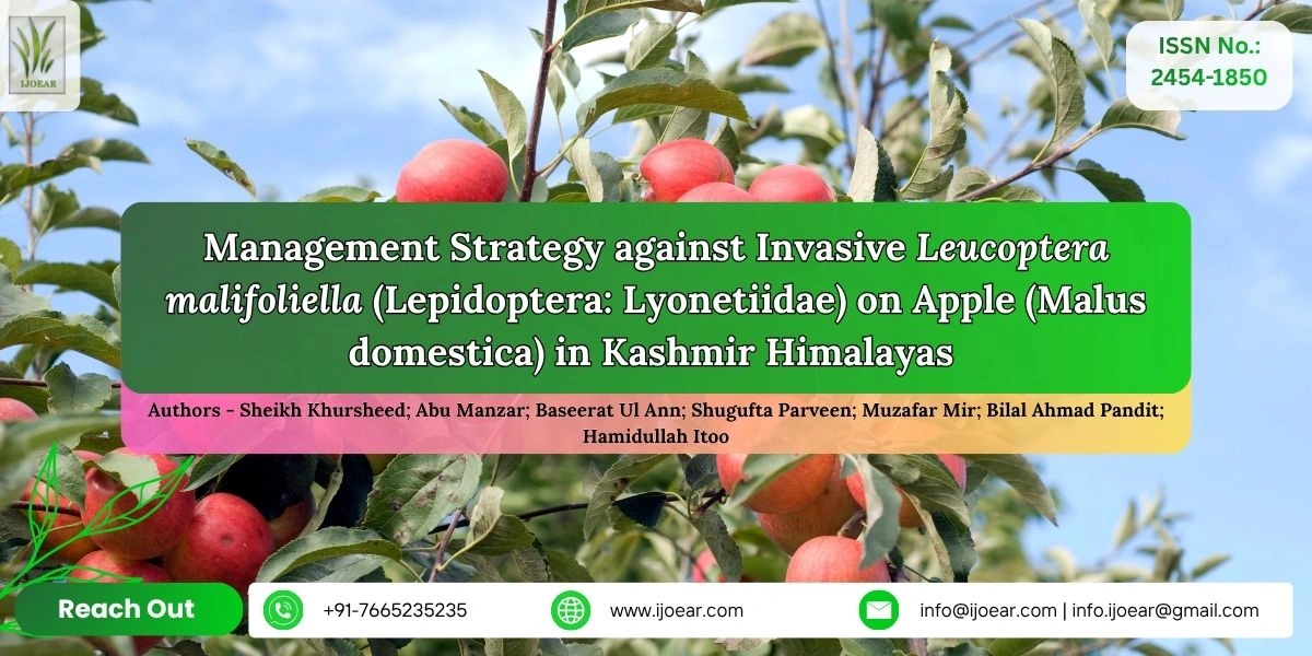 Management Strategy against Invasive Leucoptera malifoliella (Lepidoptera: Lyonetiidae) on Apple (Malus domestica) in Kashmir Himalayas