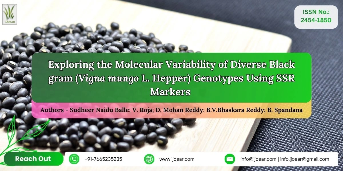 Exploring the Molecular Variability of Diverse Black gram (Vigna mungo L. Hepper) Genotypes Using SSR Markers