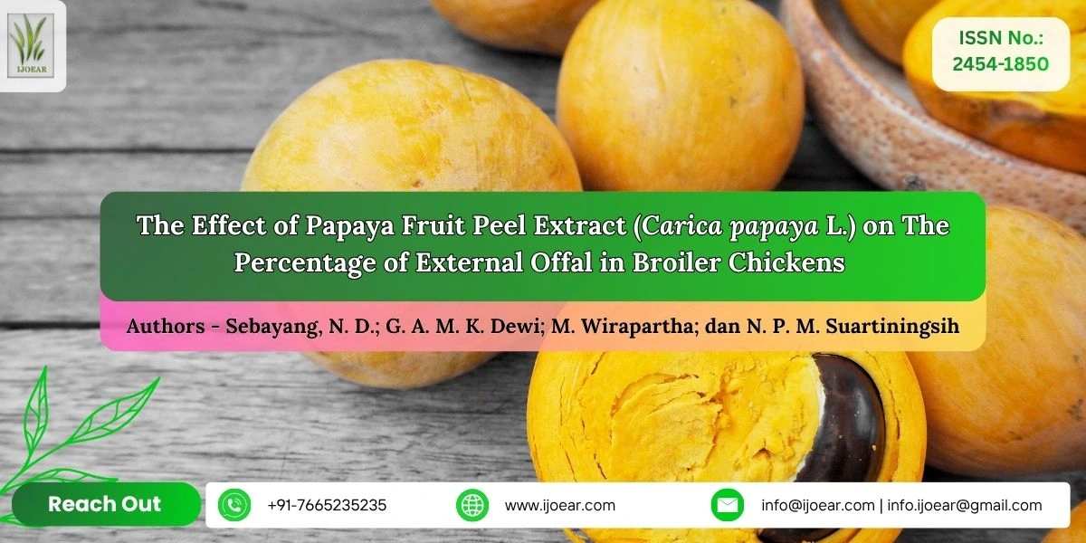 The Effect of Papaya Fruit Peel Extract (Carica papaya L.) on The Percentage of External Offal in Broiler Chickens