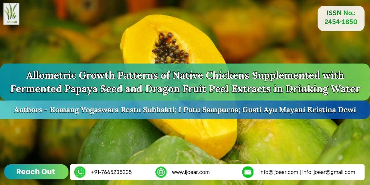 Allometric Growth Patterns of Native Chickens Supplemented with Fermented Papaya Seed and Dragon Fruit Peel Extracts in Drinking Water