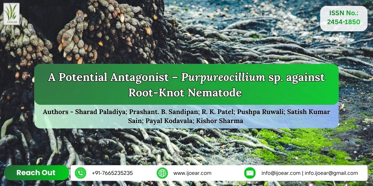 A Potential Antagonist – Purpureocillium sp. against Root-Knot Nematode