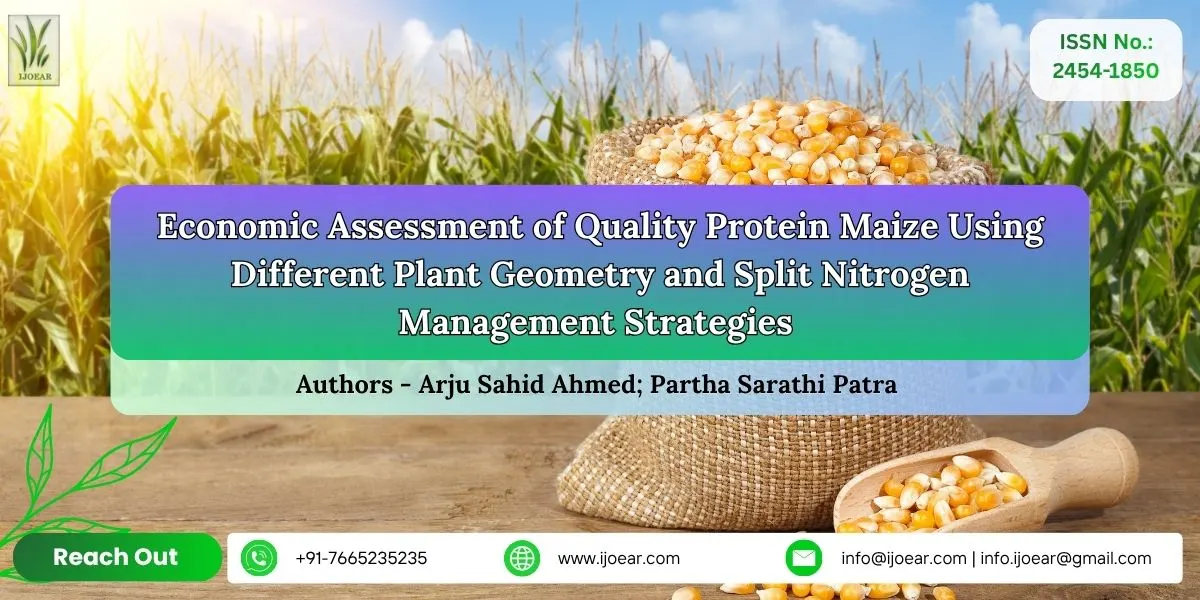 Economic Assessment of Quality Protein Maize Using Different Plant Geometry and Split Nitrogen Management Strategies