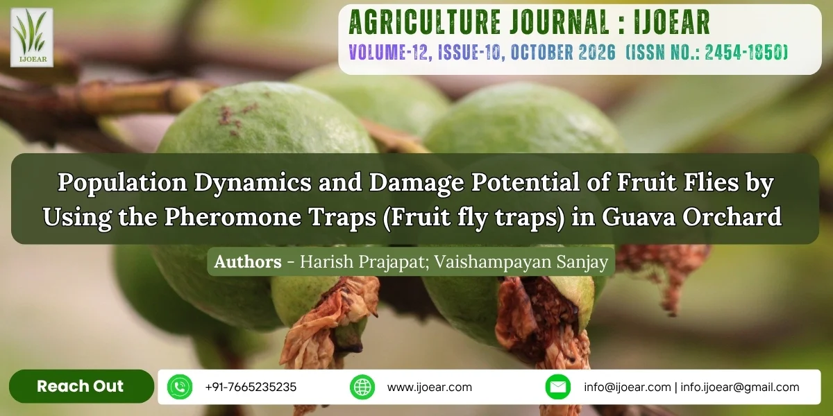 Population Dynamics and Damage Potential of Fruit Flies by Using the Pheromone  Traps (Fruit fly traps) in Guava Orchard
