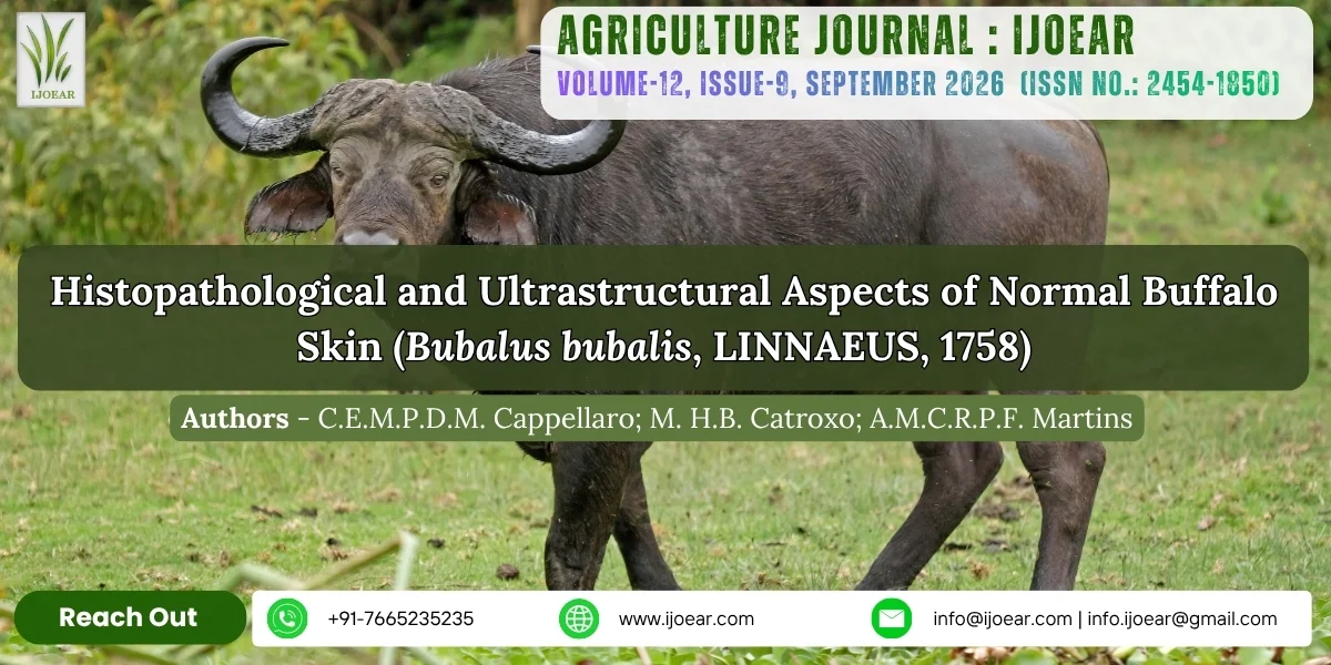 Histopathological and Ultrastructural Aspects of Normal Buffalo Skin (Bubalus bubalis, LINNAEUS, 1758)
