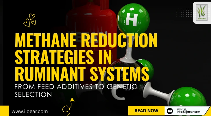Methane Reduction Strategies in Ruminant Systems