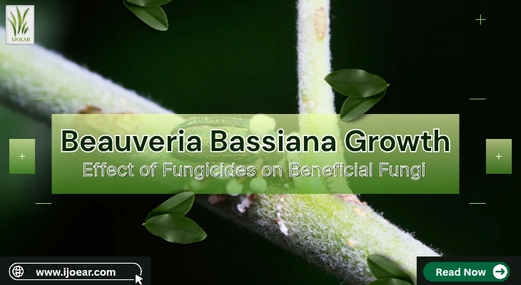 Beauveria Bassiana Growth: Effect of Fungicides on Beneficial Fungi