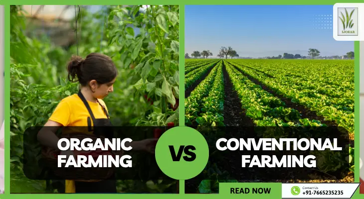 Organic vs. Conventional Farming: Which Is More Sustainable?