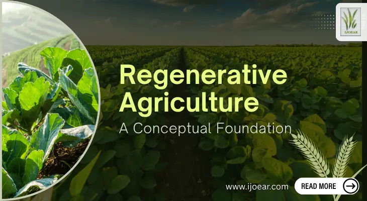 Regenerative Agriculture: A Conceptual Foundation