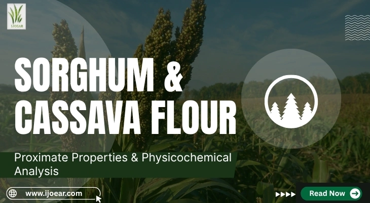 Sorghum & Cassava Flour: Proximate Properties & Physicochemical Analysis